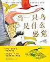 当一只鸟是什么感觉