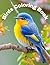 BIRDS COLORING BOOK