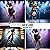Great Dane Melodic Bliss Ph...