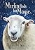 Merlin Finds His Magic by Grace  Olson