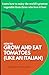 How to grow and eat tomatoes (like an Italian) by Vincent Parisi