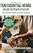 Ten Essential Herbs: Unlock the Power of Nature: Your Starter Guide to Herbal Healing (Herbal Ella)