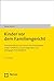 Kinder vor dem Familiengericht: Praxishandbuch zum Schutz des Kindeswohls unter rechtlichen, psychologischen und pädagogischen Aspekten (German Edition)