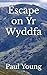 Escape on Yr Wyddfa
