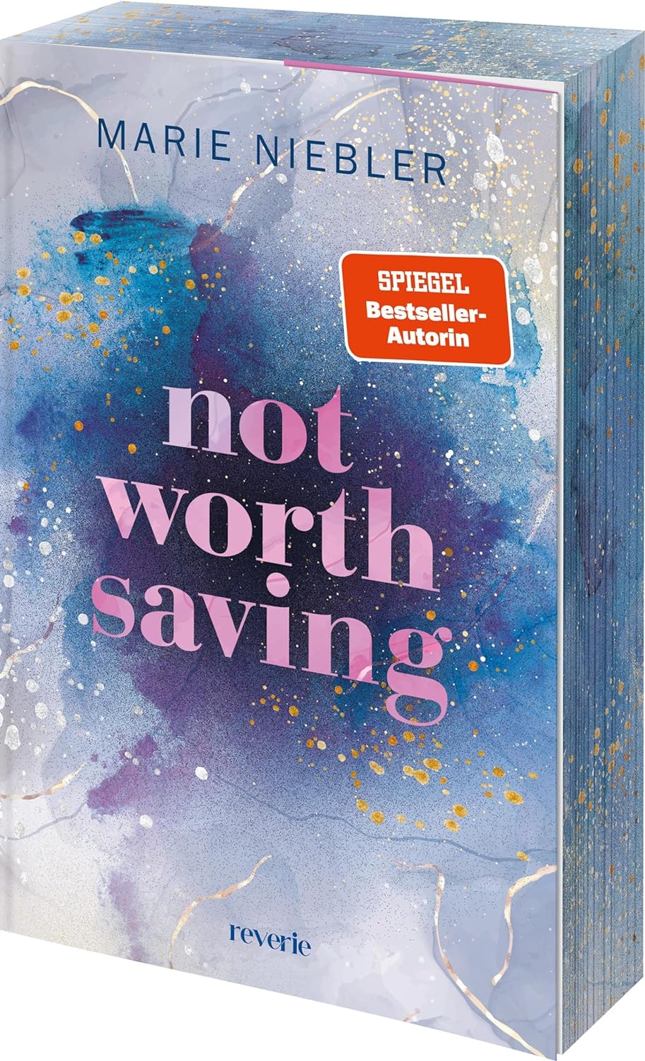 Not Worth Saving (Brooke & Noah, #1)