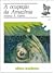 A Ocupação da Amazônia (Tud...