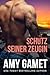 Schutz seiner Zeugin (Die gebrochenen SEALs, #1)