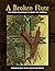 A Broken Flute: The Native Experience in Books for Children (Contemporary Native American Communities)