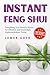 Instant Feng Shui: Everythi...