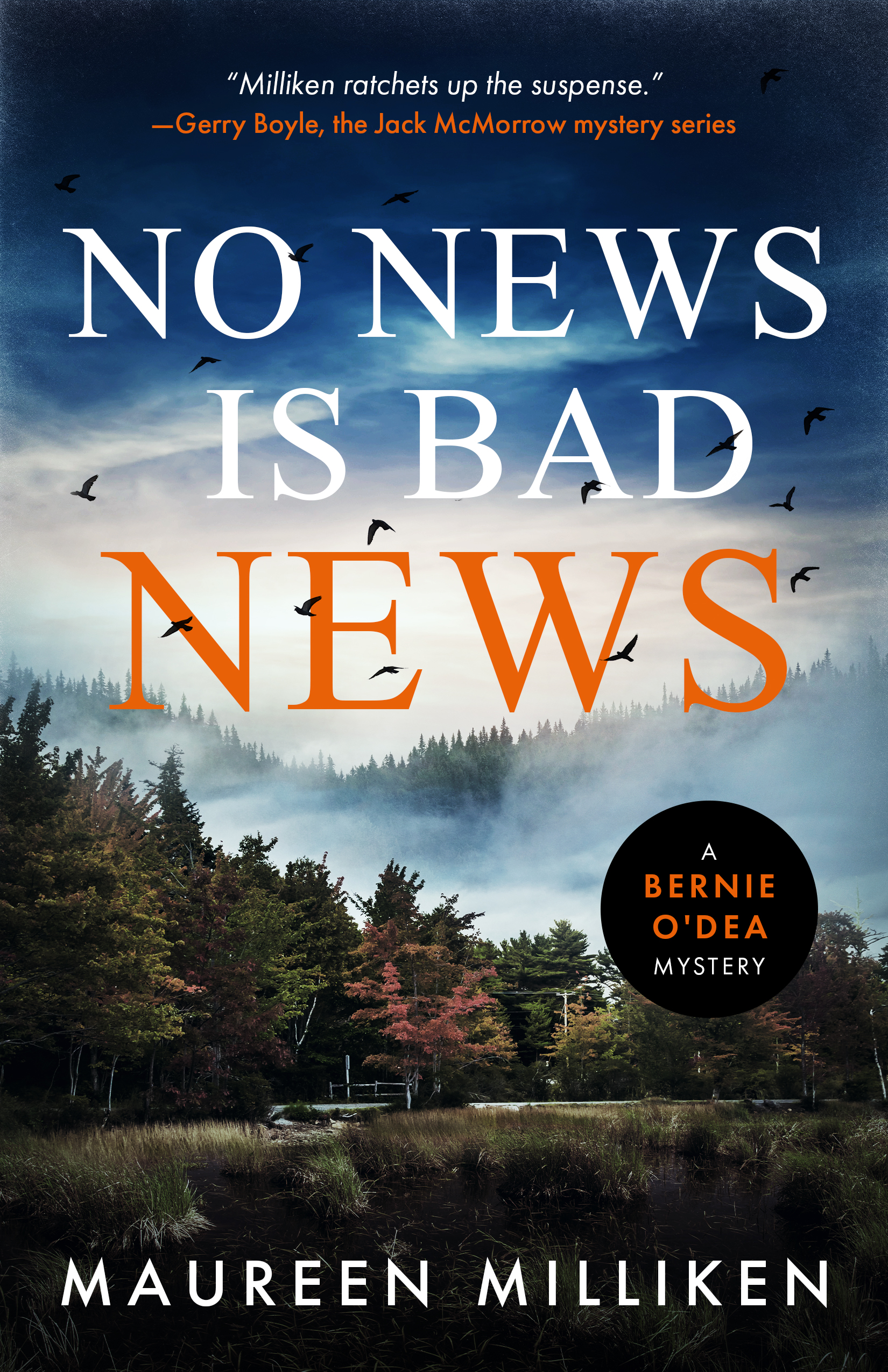No News is Bad News (The Bernie O'Dea mystery series)