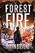 Forest Fire: A Hawk Tate Novel