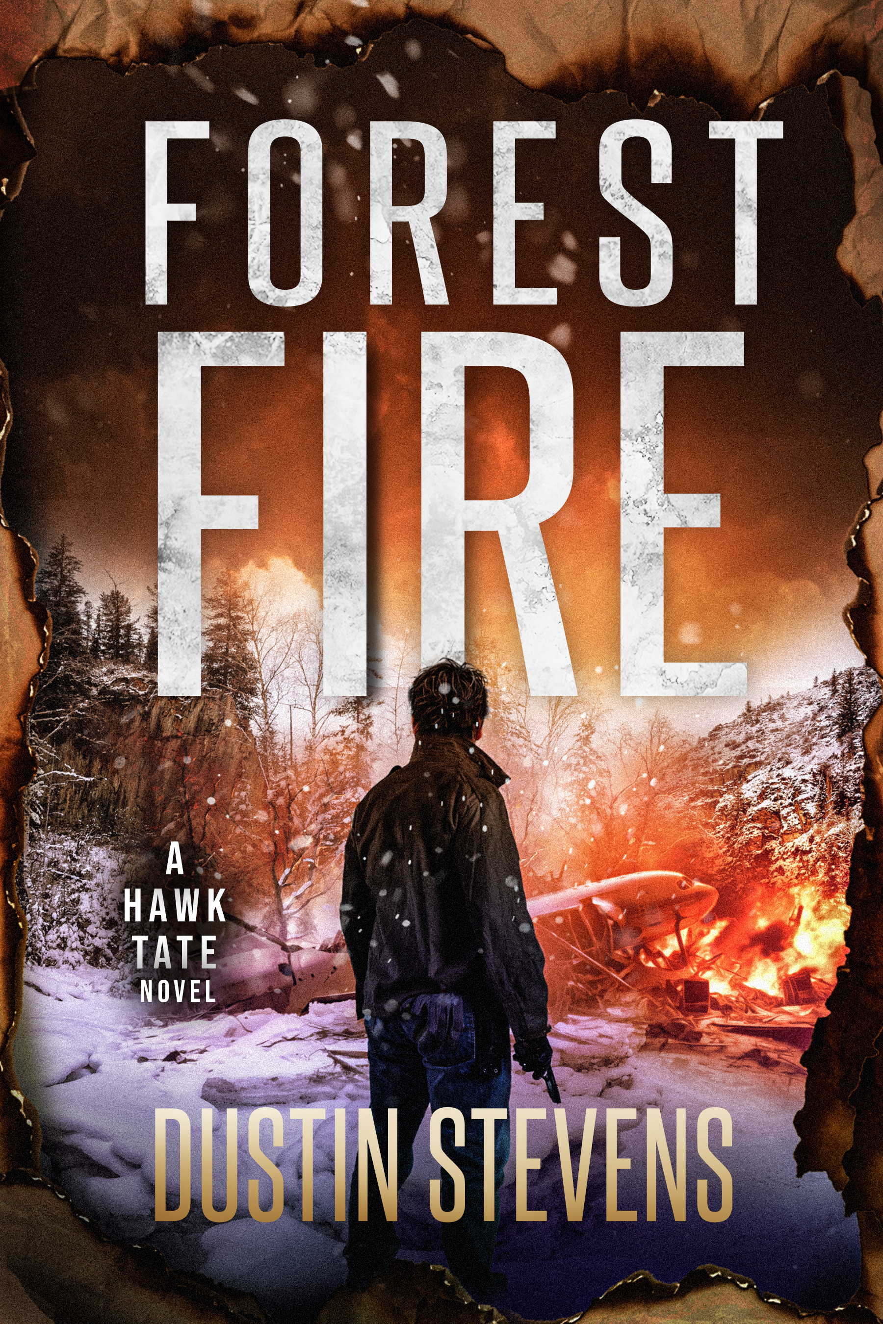 Forest Fire: A Hawk Tate Novel