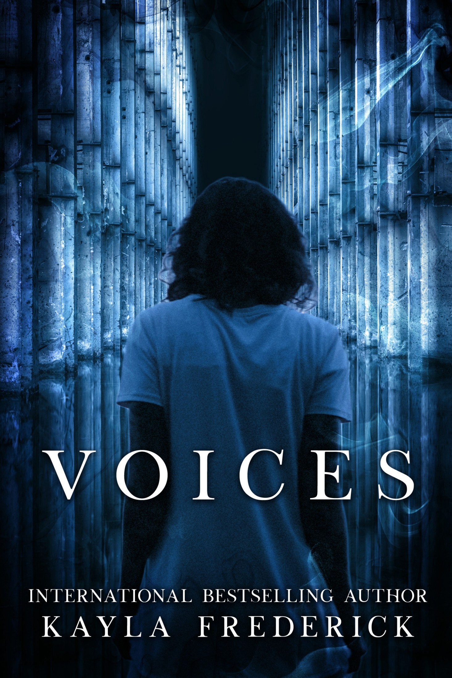 Voices (Paperback)