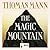 The Magic Mountain