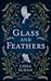 Glass and Feathers