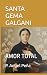 SANTA GEMA GALGANI: AMOR TOTAL (Spanish Edition)