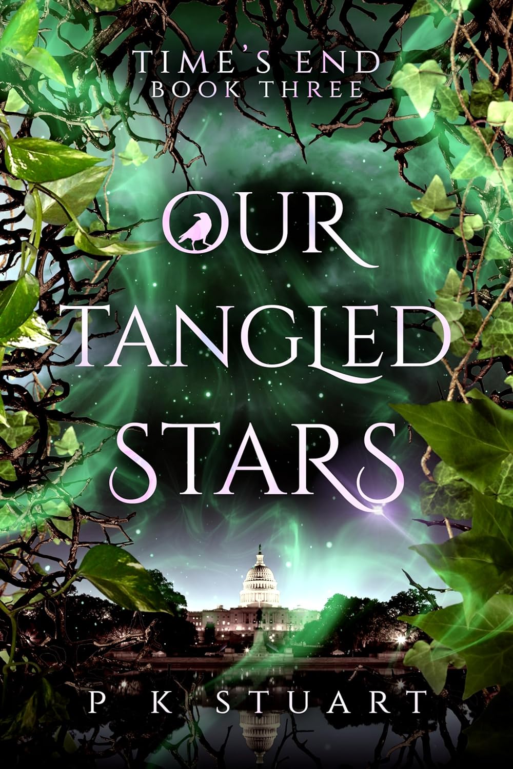 Our Tangled Stars (Time's End #3)