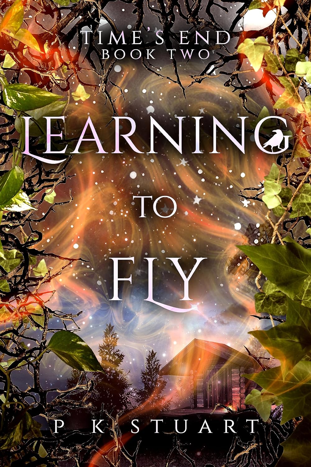 Learning to Fly (Time's End #2)