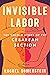 Invisible Labor by Rachel Somerstein