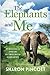 The Elephants and Me: Pursu...