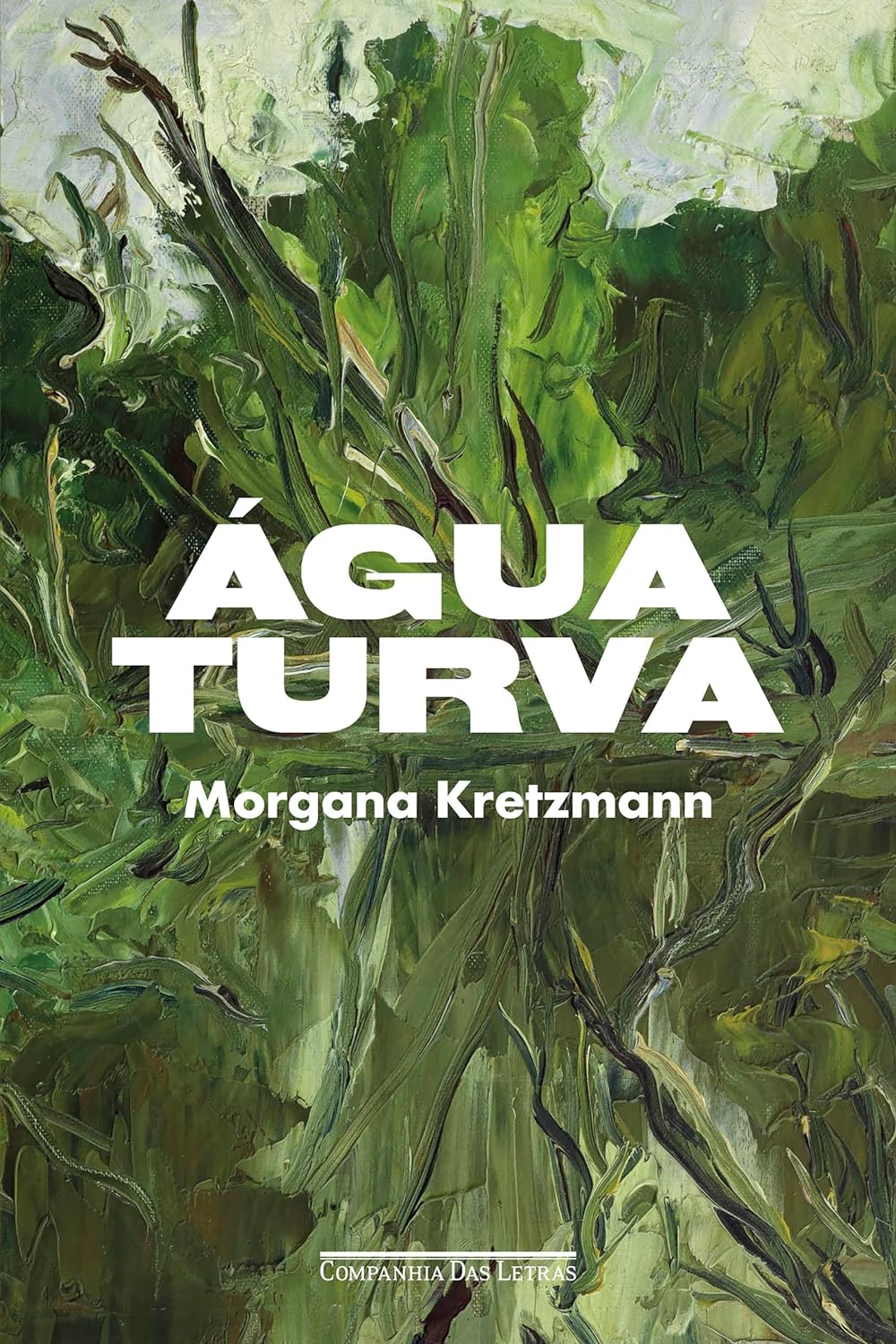Água turva (Paperback)