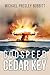 Godspeed, Cedar Key (Michael Presley Bobbitt's Cedar Key Trilogy Book 1)