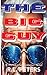 The Big Guy by R.L. Peters
