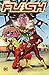 The Flash, Vol. 18: The Sea...