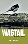 Wagtail: Bright Lights Book One