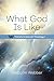What God is Like: Transform...