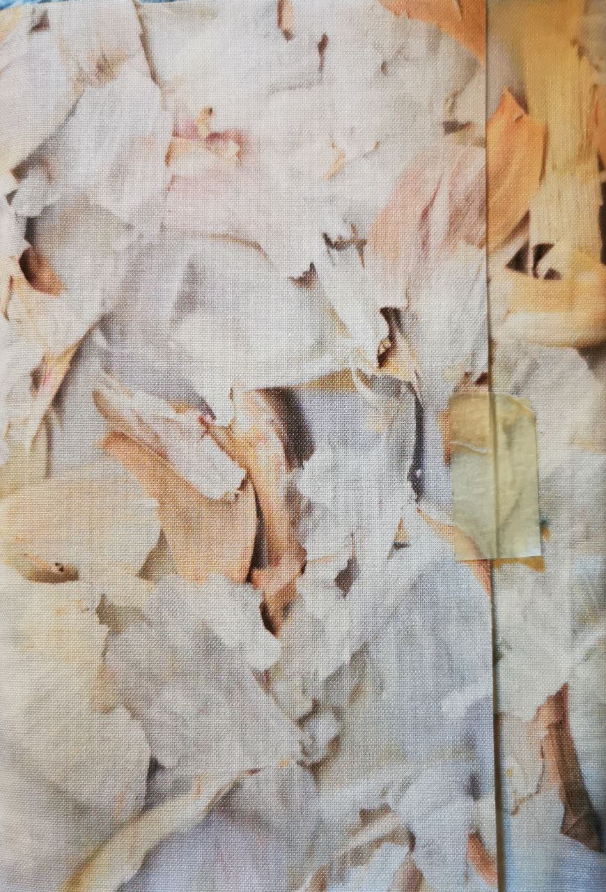 synopispis: almost novel