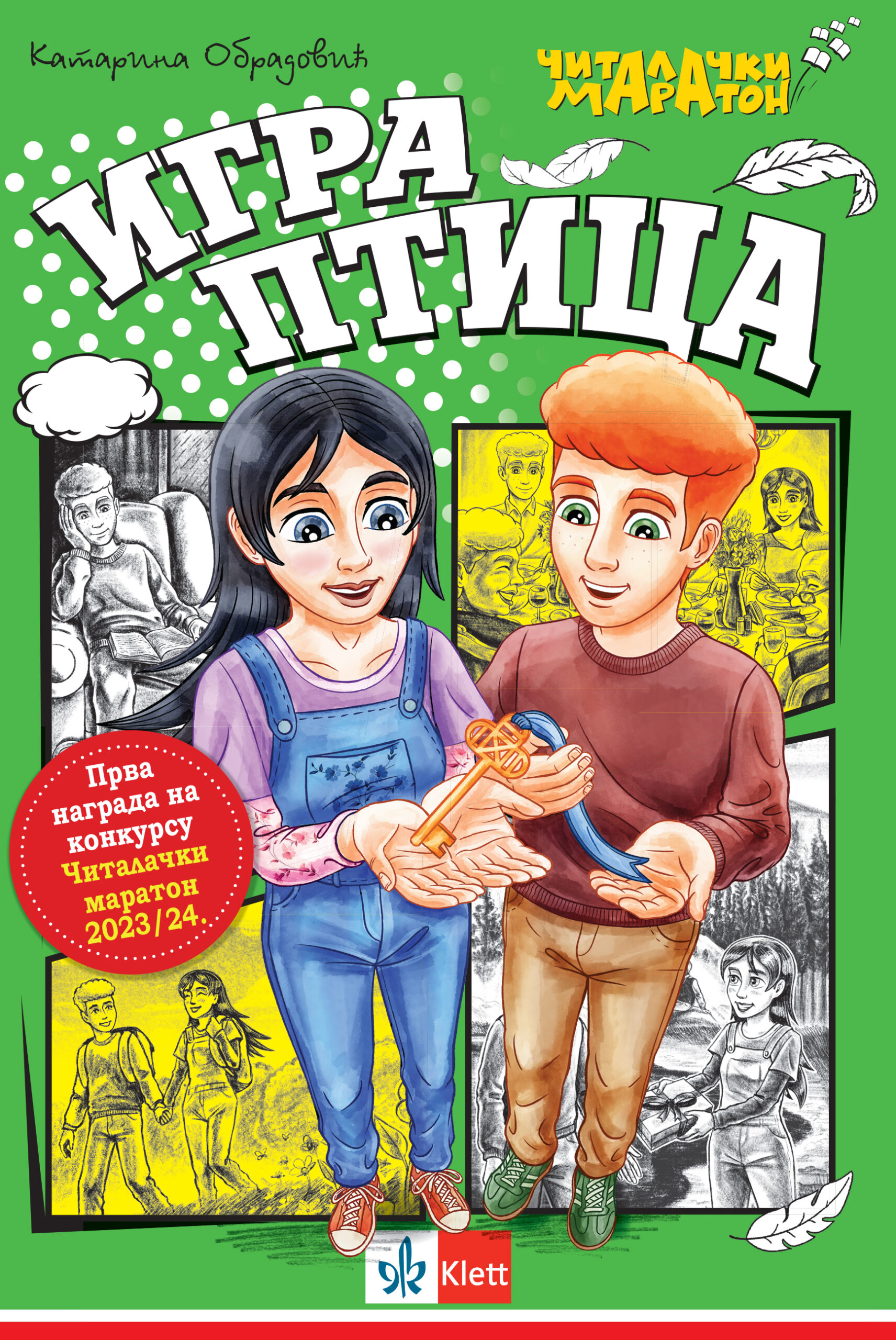 Igra ptica (Paperback)