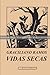 BONECO: Vidas Secas: Capa dura. Atualização ortográfica, mantendo as expressões regionais.