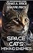 Space Cats: Making Enemies
