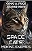 Space Cats: Making Enemies