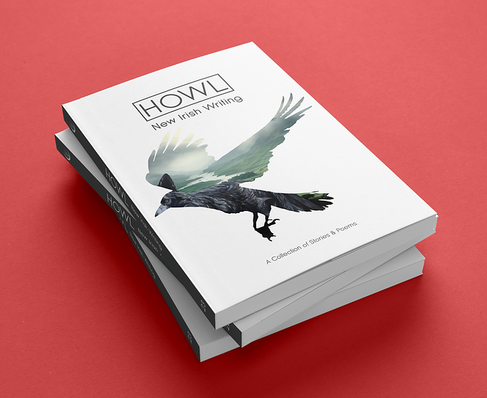 HOWL - New Irish Writing 23