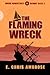 The Flaming Wreck: Rogue Adventures: Bloody Baja, volume 2