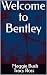 Welcome to Bentley: Book 2 Joshua and Joy