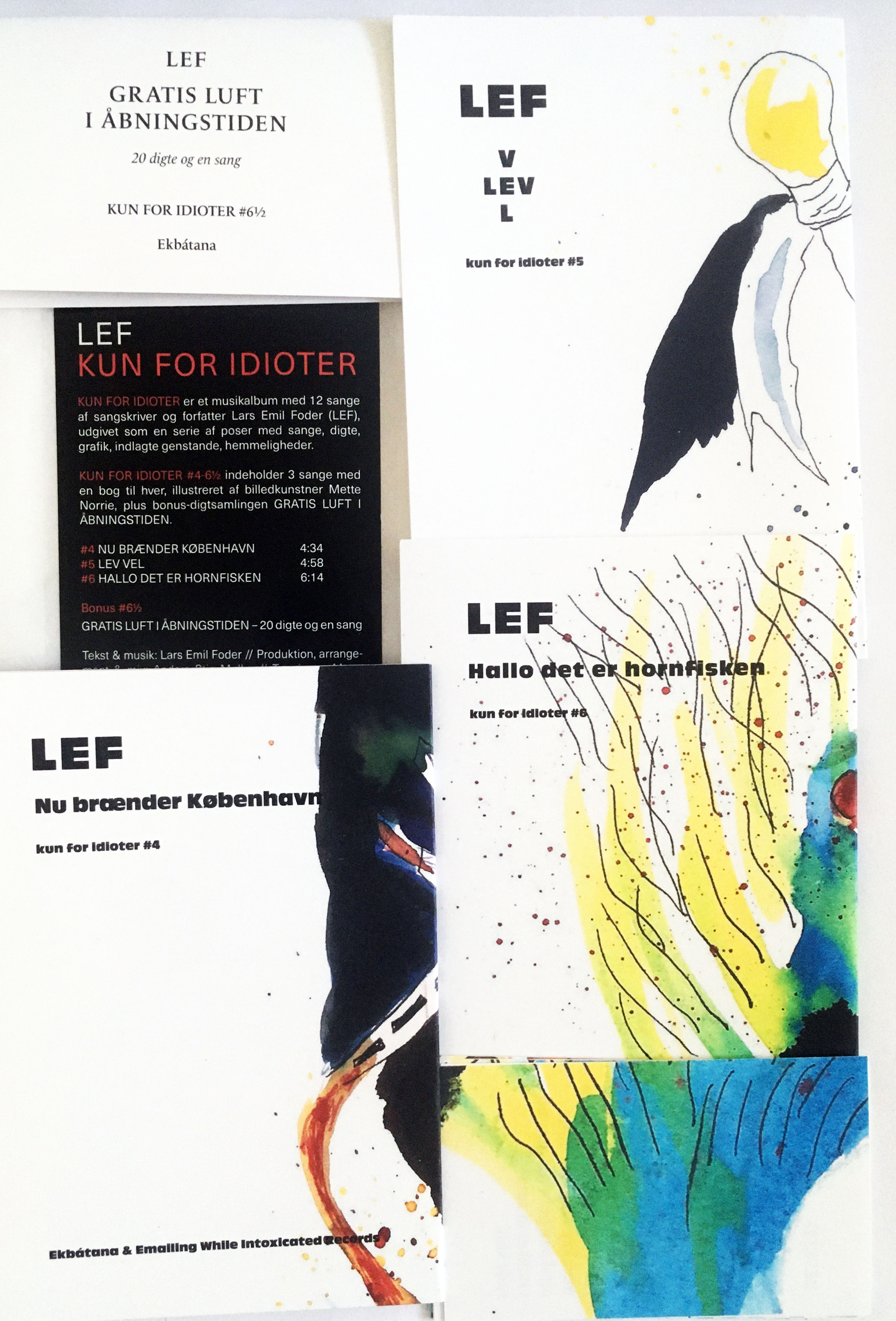 Kun for idioter #4-6 1/2 (Paperback)