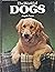 The World of Dogs