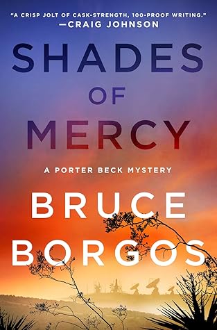 Shades of Mercy (Porter Beck, #2)