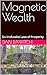 Magnetic Wealth by Dan Rawitch