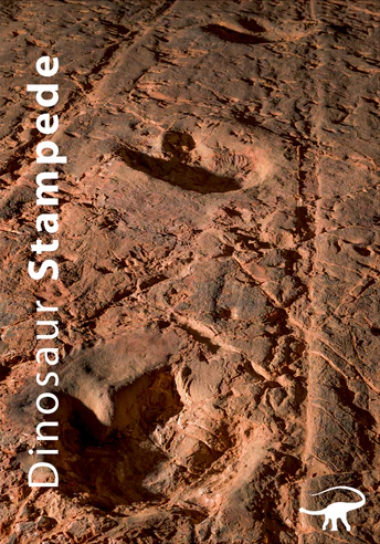 Dinosaur stampede (Paperback)