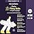 Almond Books ICSE English Creative Writing Skills for Class 9 & 10 (Compositions, Letters, Comprehensions, Notice Writing, Email Writing)