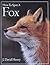 How to Spot a Fox