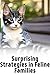 Feline Family Tactics: Unve...