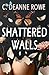 Shattered Walls: A poignant...