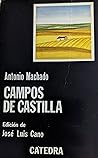 Campos de Castilla