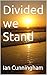 Divided we Stand