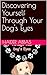 Discovering Yourself Through Your Dog's Eyes by Haider Abbas
